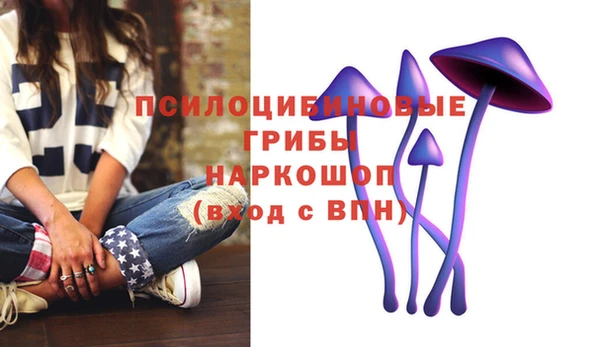 эйфоретик Баксан