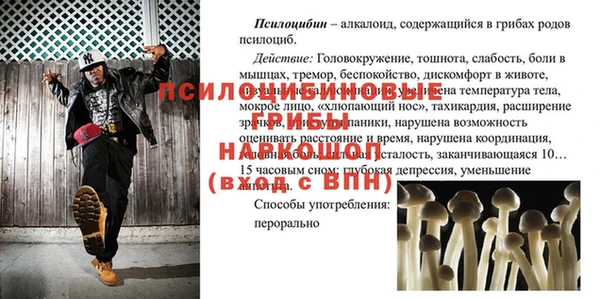 jwh Аркадак