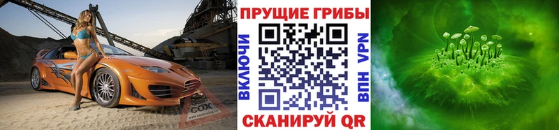 Галлюциногенные грибы Psilocybe  Усть-Кут 